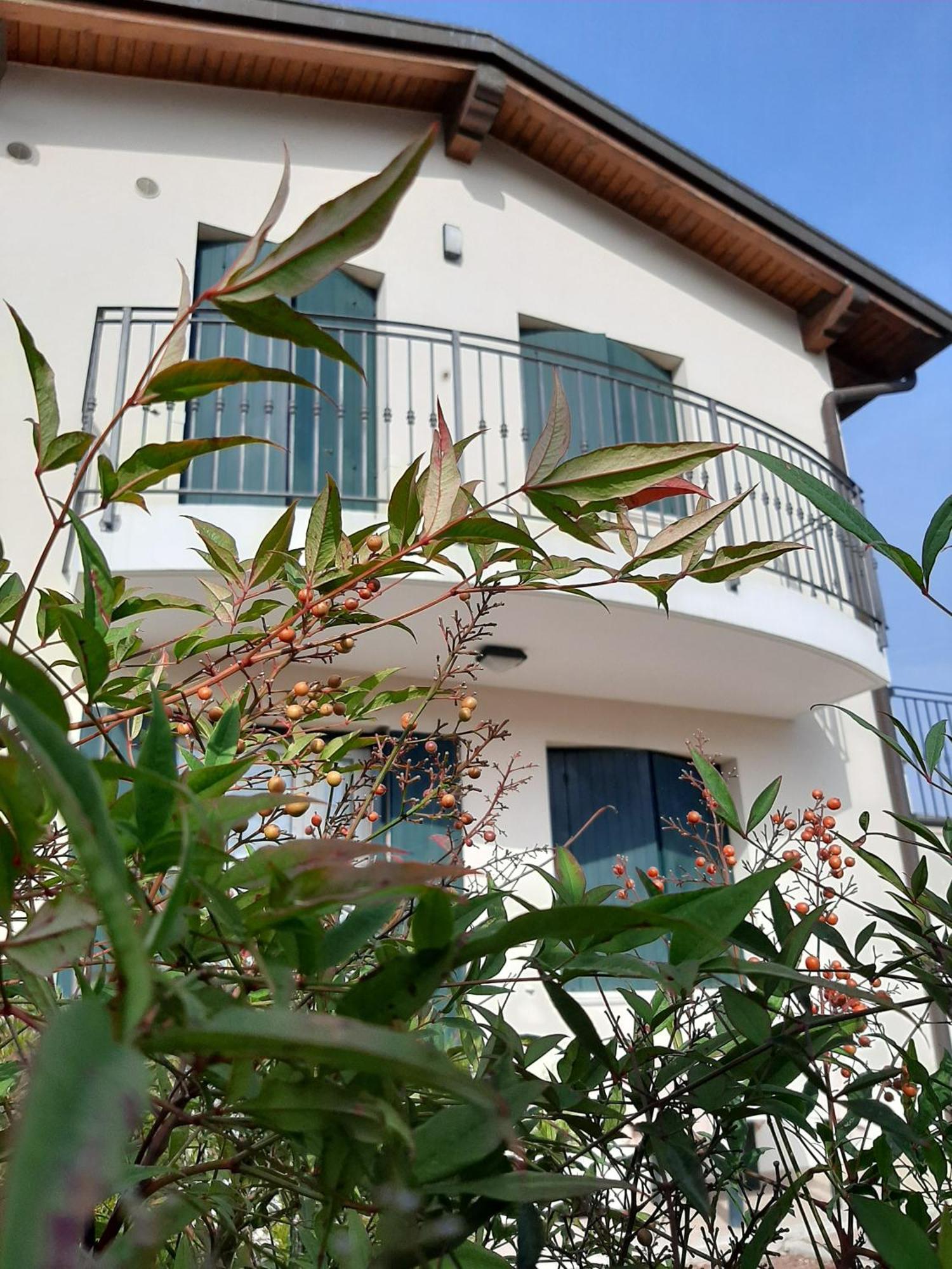 Casa Di Clara Hotel Портогруаро Екстериор снимка